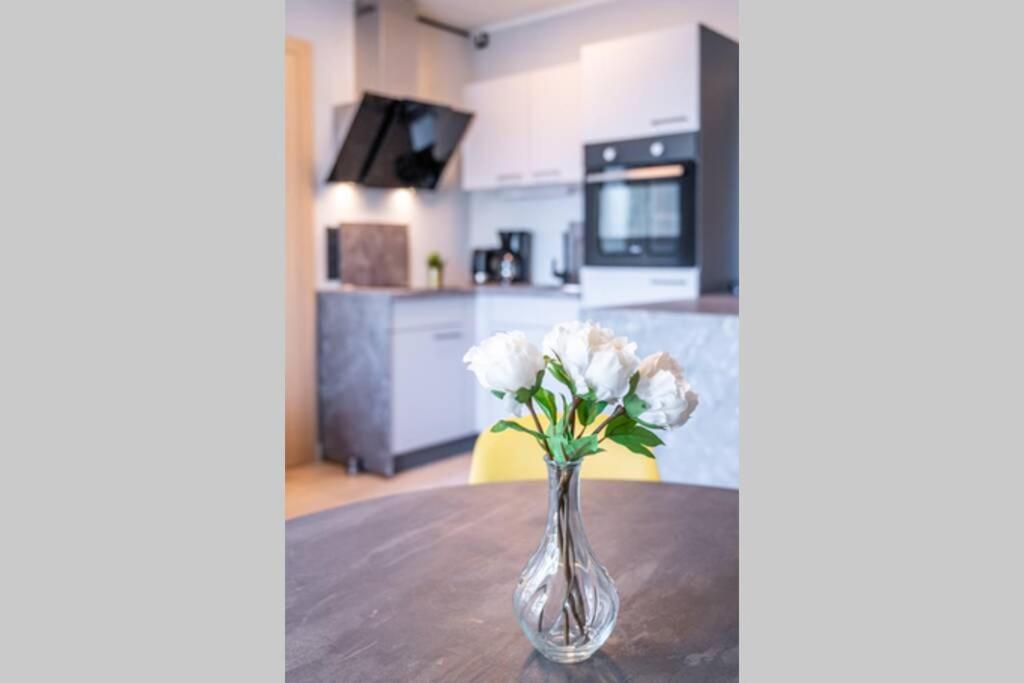 Beautiful In Vienna's Heart 1d Apartment